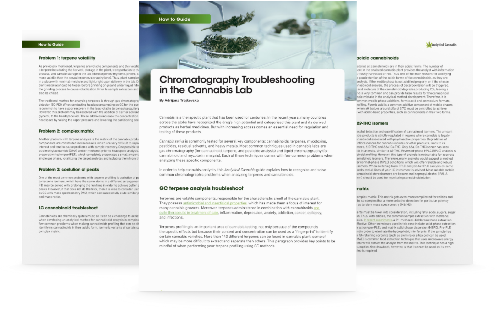 AC_ ChromatographyTroubleshooting_Guide_IMAGE 