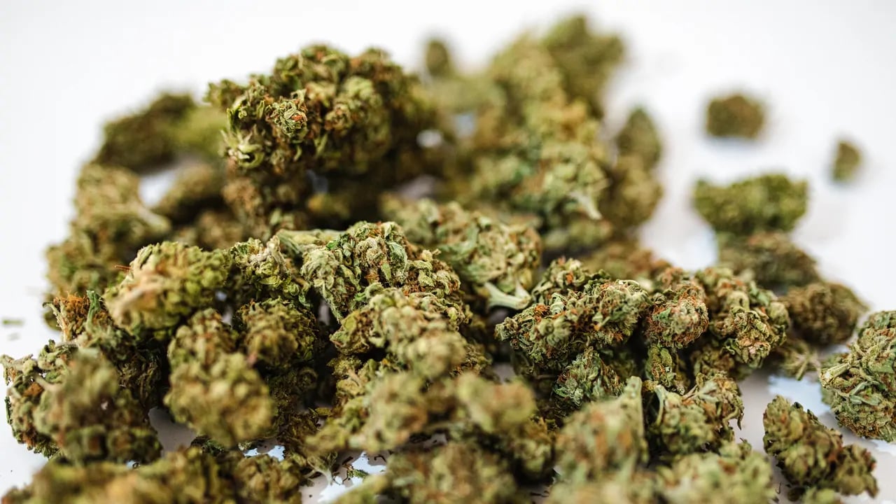 more-cannabis-products-in-nevada-are-contaminated-with-unapproved-pesticide-state-regulator-warns-314742-1280x720